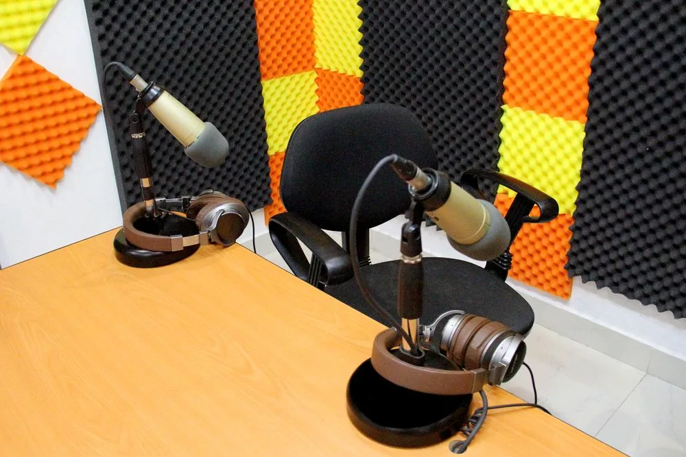 Painted Acoustic Panels: Reducing Sound And Enhancing Style painted acoustic panel