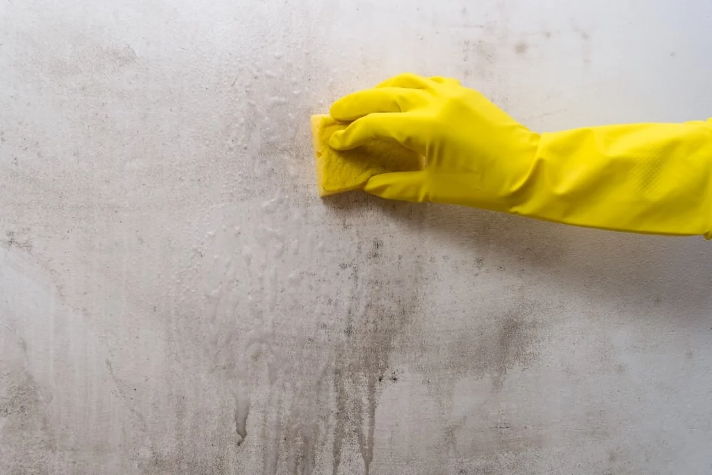 How Cleaning Methods Impact Commercial Paint Lifespan How Cleaning Methods Impact Commercial Paint Lifespan